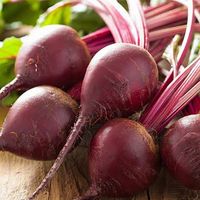 Beet-root-house-of-seeds