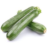 Courgettes-Zucchini-house-of-seeds