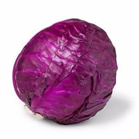 Red-cabbage-house-of-seeds