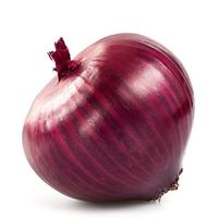 onions-house-of-seeds